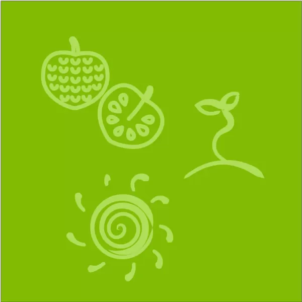 Custard Apple Australia - fun and meaningful icons