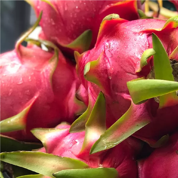 Yanalla Farms - Yanalla Dragon Fruit