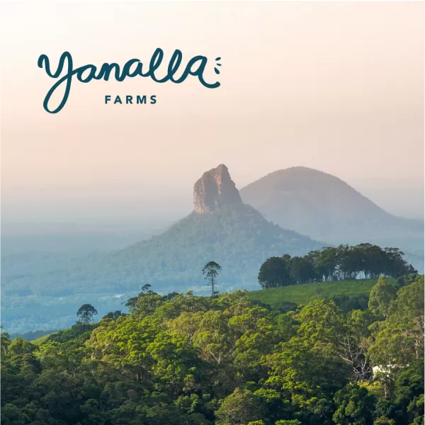 Yanalla Farms in the heart of the Glasshouse Mountains